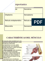 Contraccionmuscular