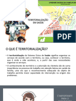 Territorialização PDF