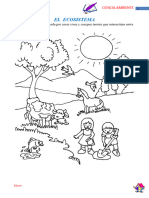 El Ecosistema: Ciencia Ambiente