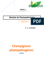 Mabiova Champignons 2 Et 3 Phytopathogènes 2020-2021