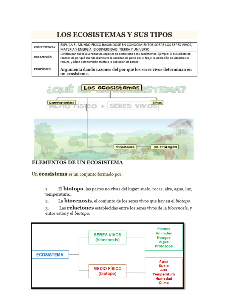 Tipos de Ecosistemas y sus Elementos | PDF | Ecosistema | Plantas