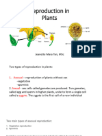 Reproduction in Plants