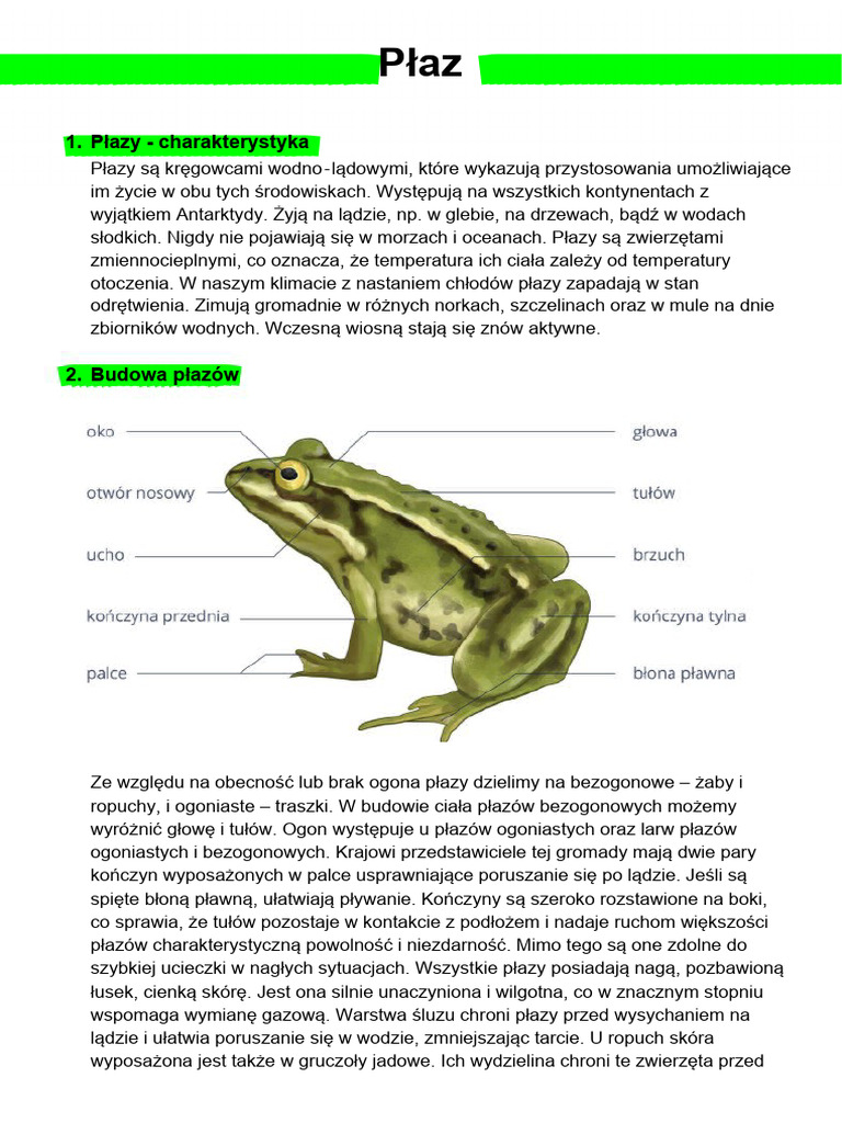 Płazy | PDF