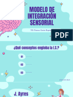 Modelo de Integracion Sensorial