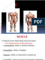 4. MUSCLE