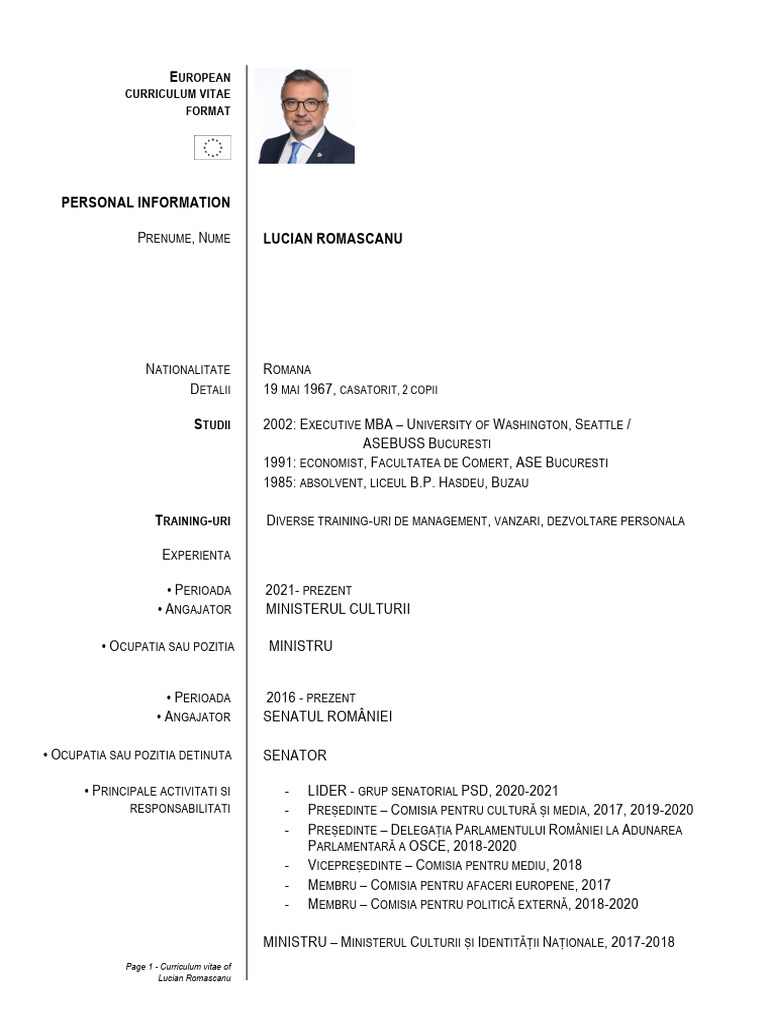 CV Lucian Romascanu | PDF
