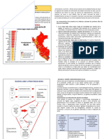 Recursos - Anemia