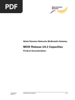 MGW Release U4.2 Capacities, Issue 4-4 PDF