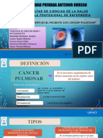 Cancer Pulmonar Semana Tipos Tratamiento Examenes Generalidades