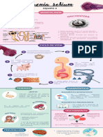 Infografia de Taenia Solium, Eq. 3