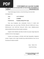 Surat Izin Observasi