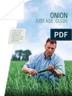 Onion Diseases A Manual or Guide