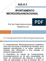 Aula 3 - Comportamento Microorganizacional