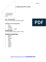 p.4 Primary Four Sci Notes Teacher - Ac