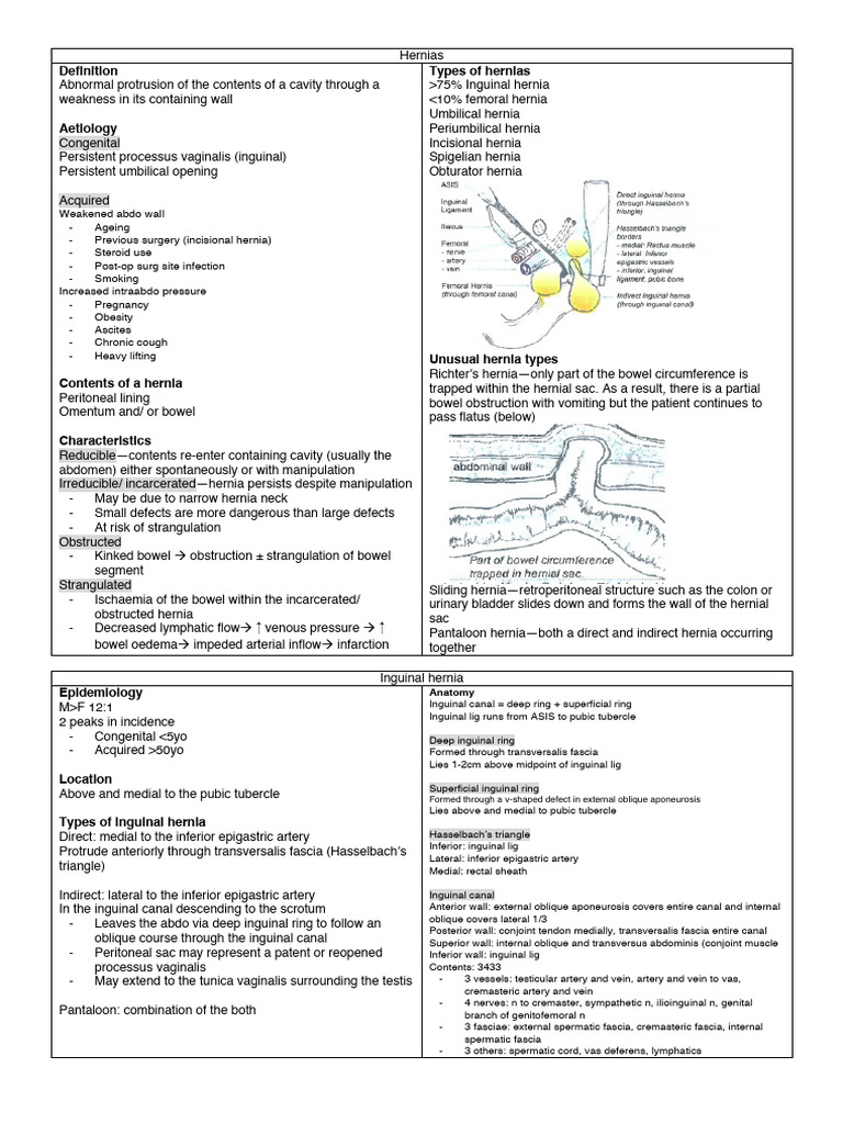 Types of Hernias: Anatomy | PDF