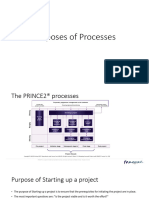 Purposes of Processes