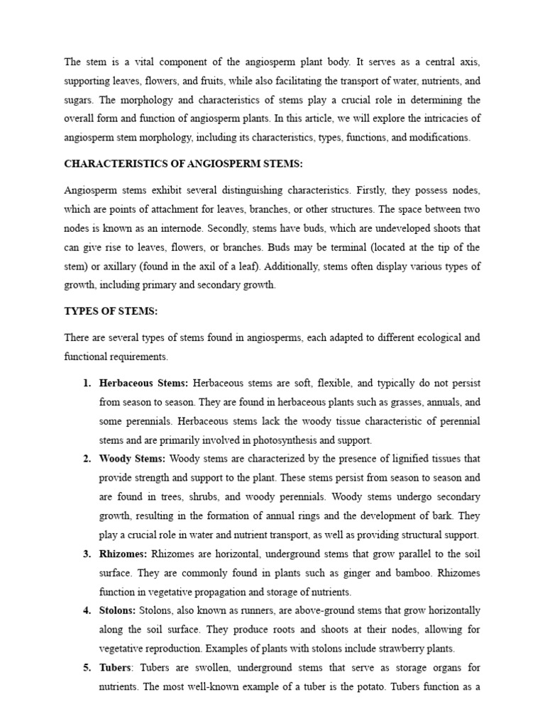The Stem Is A Vital Component of The Angiosperm Plant Body | PDF ...