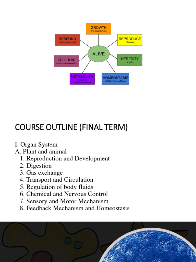Lesson1 Reproduction Pdf Sexual Reproduction Fertilisation