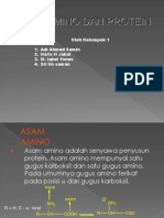 ASAM AMINO