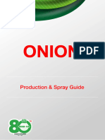 Onion