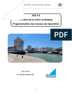 rapport sae 4