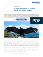 Recurso 1 - El Condor Andino 5°