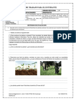 Unidad 4 - Ficha - Sem 3 - Ciencia 1°