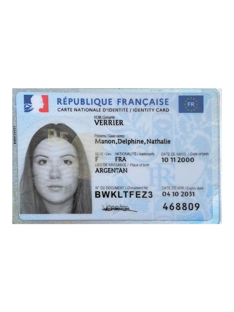 75 cartes d'identité et titres de séjour saisis en France