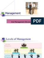 Management Structur