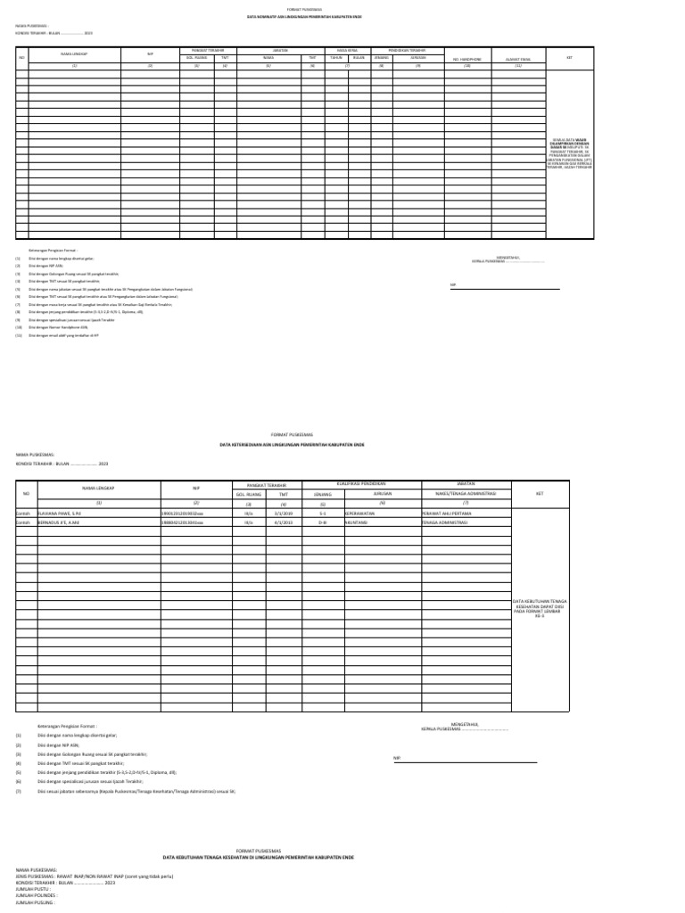 Format Data ASN Puskesmas Ende | PDF