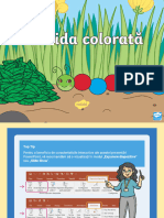 Omida colorata - Joc PowerPoint