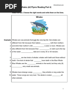 Flyers Reading & Writing Practice Test | PDF
