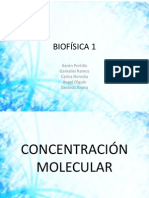 Concentración Molecular