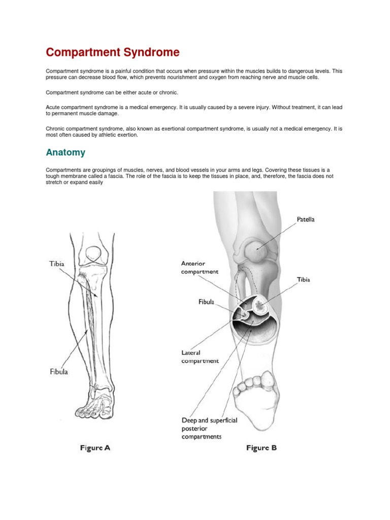 Compartment Syndrome | PDF | Clinical Medicine | Human Anatomy
