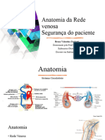 Anatomia e Segurança Do Paciente - Senac