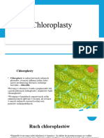 Chloroplast y