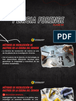 CURSO DE PERÍCIA FORENSE - CLASE 03