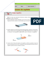 Campo Magnetico