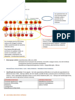 Mieloproliferativa e Linfoproliferativa