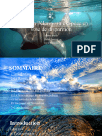 Powerpoint Requin Pèlerin