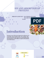 Digestion and Absorption of Proteins by Akanksha Kumari
