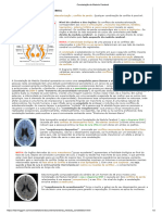 Constelação da Medula Cerebral