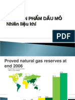 Các sản phẩm dầu mỏ - Nhiên liệu khí - 698694