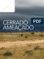 Cerrado Ameacado Nov2021