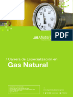 Carrera Gas Natural