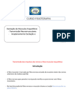 Aula 8 Excitação Do Musculos Esquelétcio