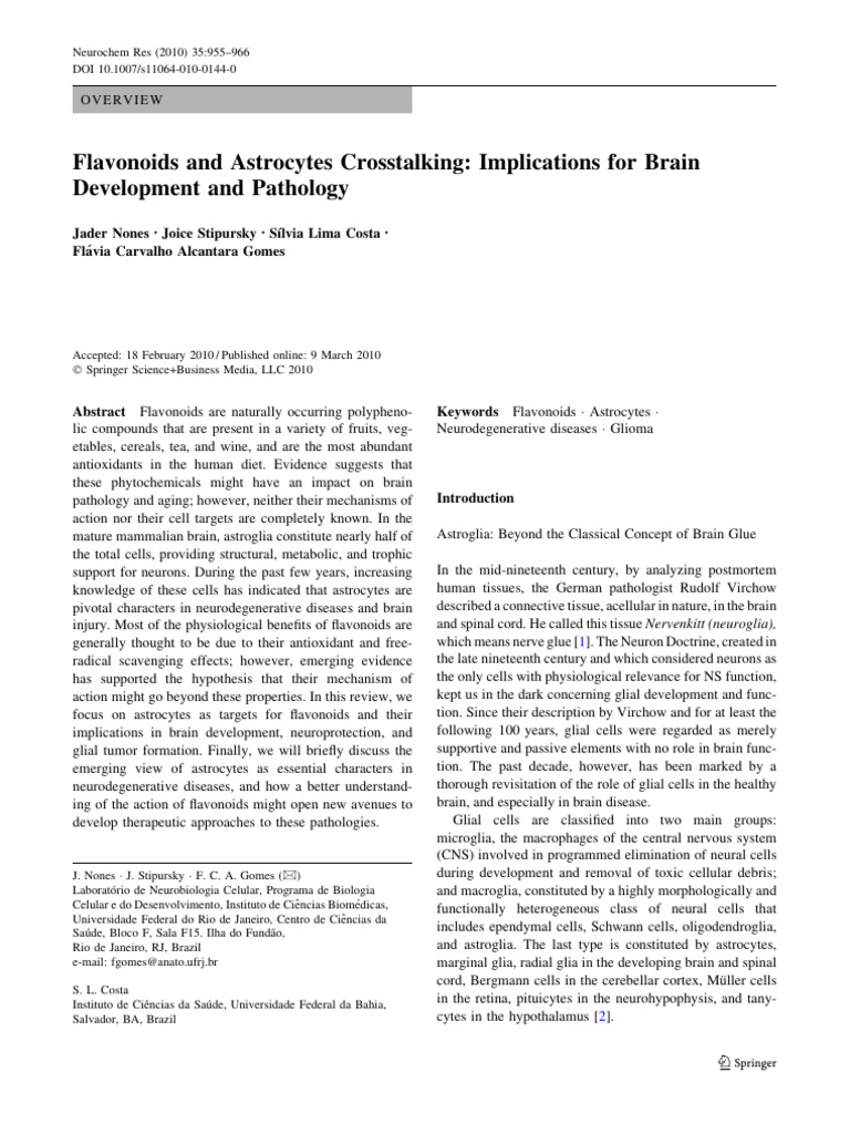 Do Babies Need Fat For Brain Development