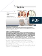 Oral Irrigacion Del SNCfinal3 (2)