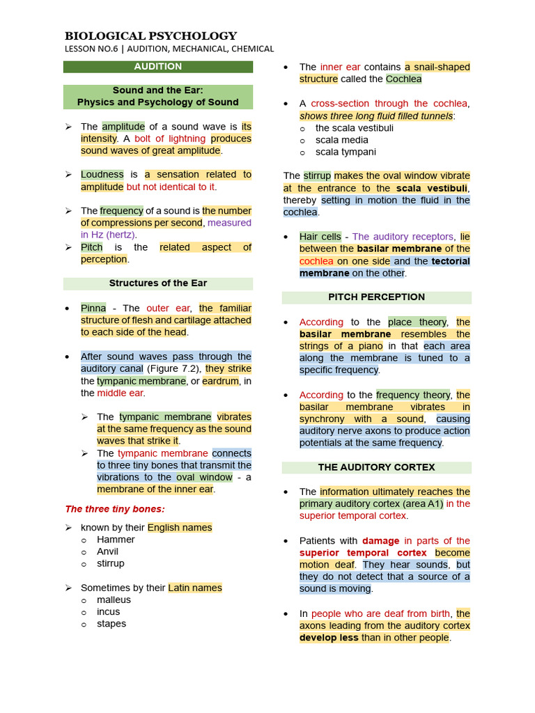 biopsych-audition-mechanical-chemical-pdf-taste-ear