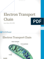 Electron Transport Chain Atf